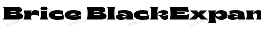 Brice BlackExpanded字体转换 Brice BlackExpanded字体转换